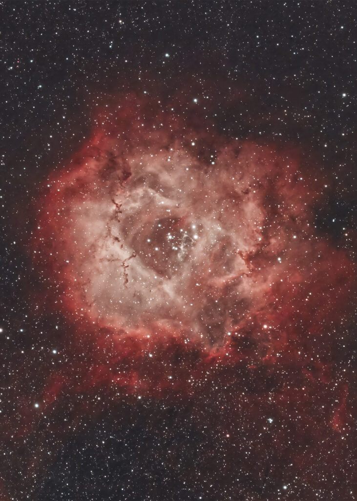 The Rosette Nebua